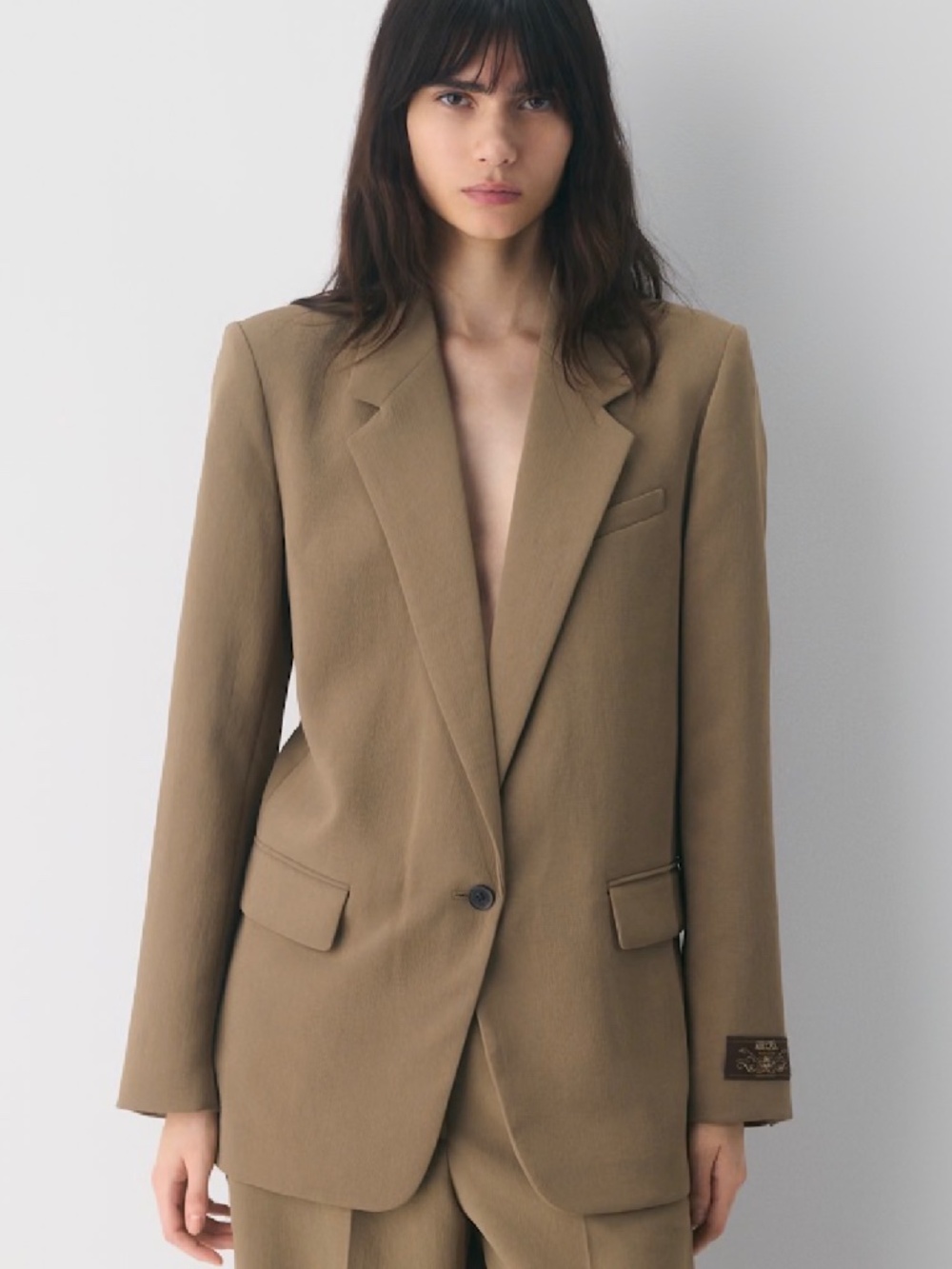 ARITZIA Generation Blazer - Crepette - BNWT
